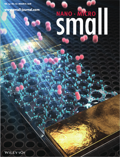 The front cover image of Small dated on March 8