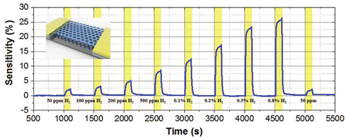 Gas sensor responses upon the exposure to H2 at various concentrations