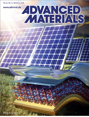 Figure 1. Cover of Advanced Materials