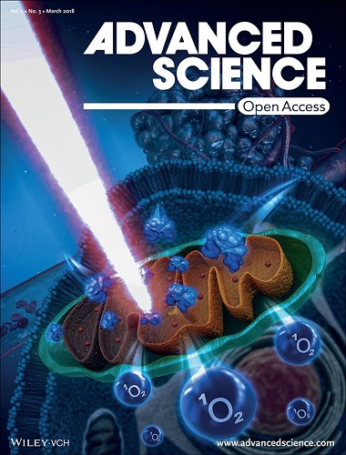 Figure 1. The cover of Advanced Science