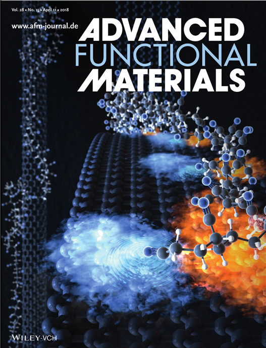 Figure 1. Inside back cover of Advanced Functional Materials
