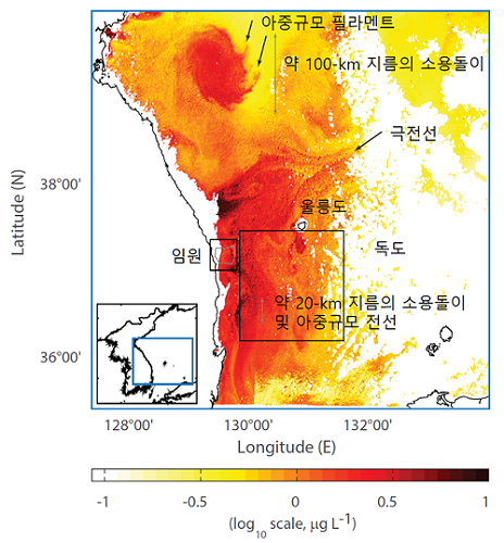  동해에서 해색위성을 이용해 관측된 표층 엽록소 농도장에서 표현된 아중규모 난류 유동의 예