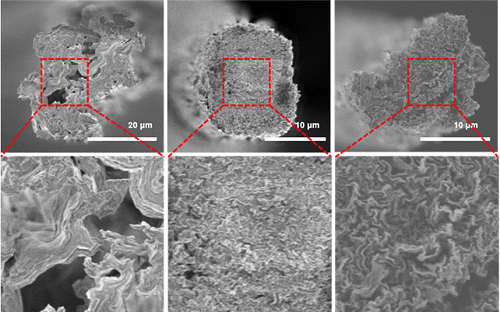  (좌) 일반적인 그래핀 섬유의 단면과 (중), (우) 도파민을 이용하여 두단계로 결함 제어된 후의 그래핀 섬유의 단면의 전자현미경 이미지