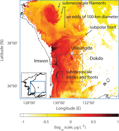 Figure 3. A snapshot of the chlorophyll concentration map derived from geostationary ocean color imagery (GOCI) off the east coast of Korea presenting several examples of sub-mesoscale turbulent flows.