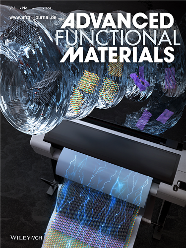 Figure 1. The cover page of Advanced Functional Materials