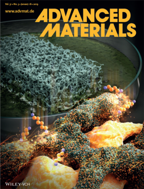Figure 3. The cover page of Advanced Materials