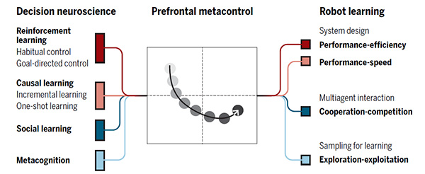 Neuroscientific views on various aspects of learning and cognition converge and create a new idea called prefrontal metacontrol, which can inspire researchers to design learning agents that can address various key challenges in robotics such as performance-efficiency-speed, cooperation-competition, and exploration-exploitation trade-offs (Science Robotics)