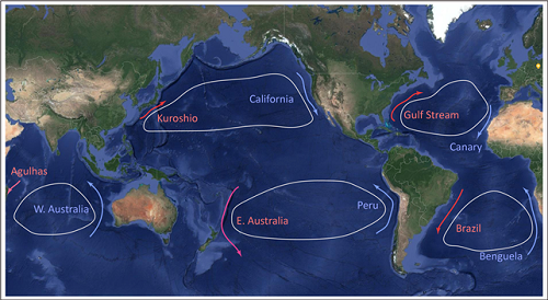 전 세계 해양 경계류