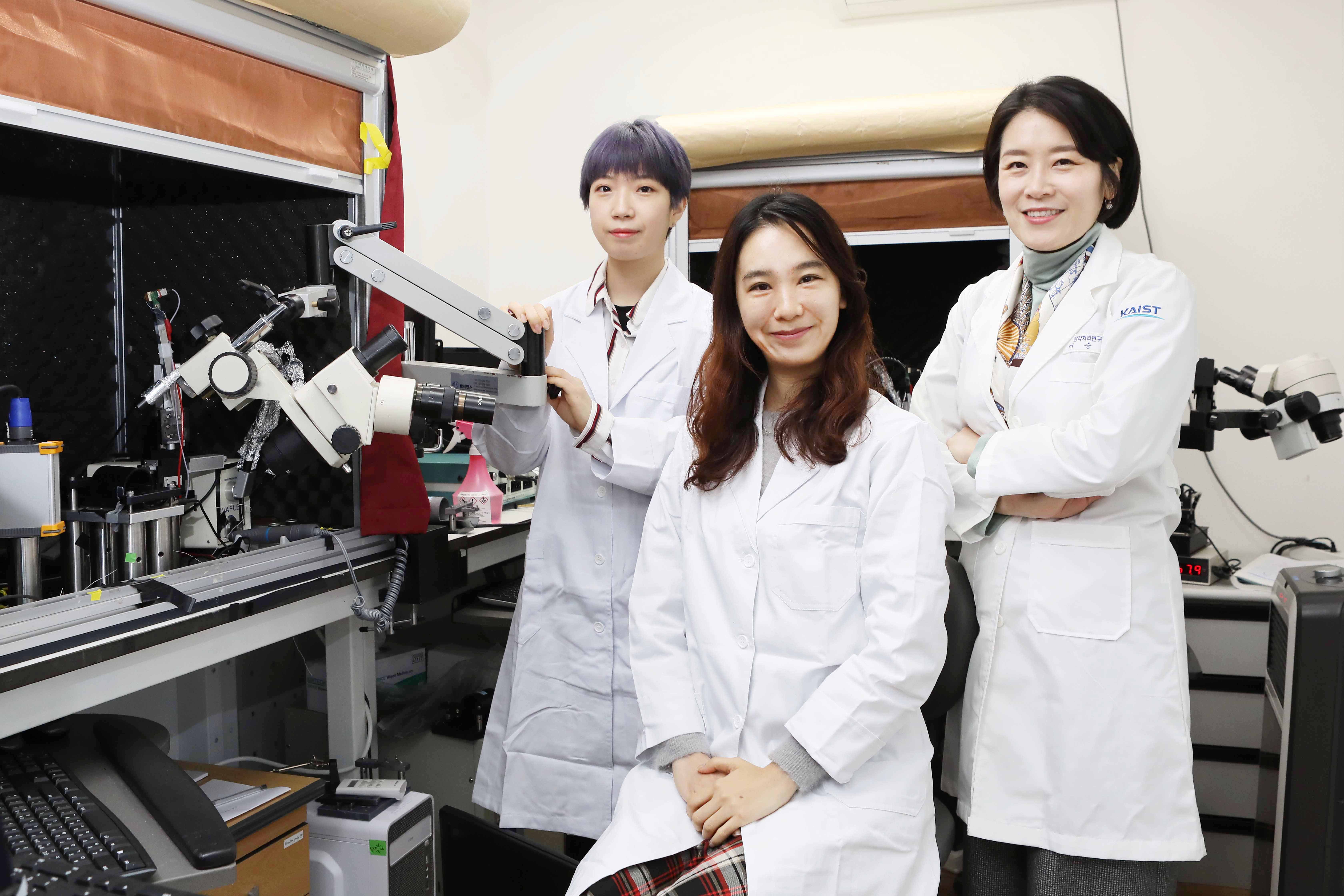 Researcher Yang-Sun Hwang (left), Researcher You-Hyang Song (center), and Professor Seung-Hee Lee (right)