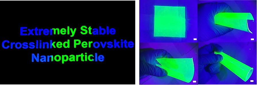 Figure 1:Photographs of large-area siloxane-encapsulated perovskite nanoparticle films. The left one indicates the perfect color converting property on commercial mobile phone screens. The right one presents color converted films under versatile bending states.