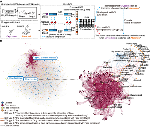 딥디디아이 (DeepDDI)의 모식도 및 예측된다양한 약물-음식성분의 상호작용들의 시각화