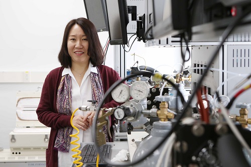 Professor EunAe Cho