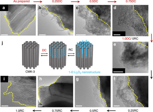 Figure 1. Transmission electron microscopy (TEM) images