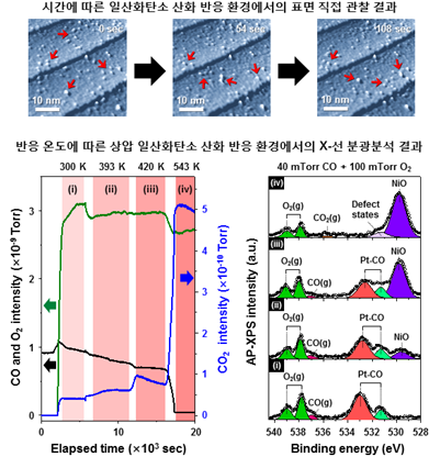 시간에 따른 표면 직접 관찰 이미지