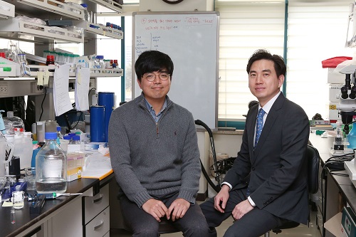 From left: PhD candidate Ilkoo Noh and Professor Yeu-Chun Kim