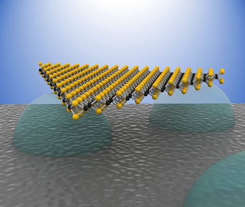 Figure 1. Image of a 2D semiconductor using dome structures