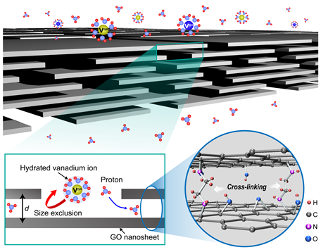 Figure 2. Schematic of the selective ion transfer of hydrated vanadium ions and protons in the GOF membrane and the molecular structure of the GOF membrane, showing that the GO nanosheets are cross-linked with EDA (ethylenediamine)