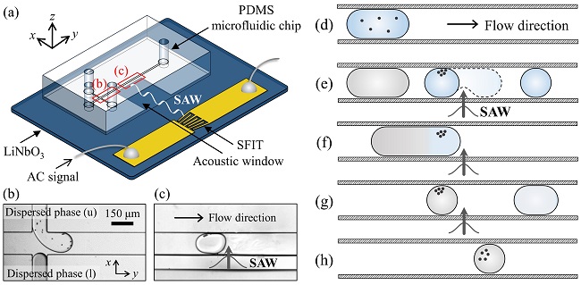 Washing and Enrichment of Micro-Particles Encapsulated in Droplets 이미지1