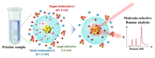 A Molecular Sensor for In-Situ Analysis of Complex Biological Fluids 이미지1