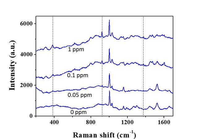 A Molecular Sensor for In-Situ Analysis of Complex Biological Fluids 이미지3