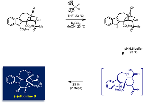 디피닌 B의 합성 경로