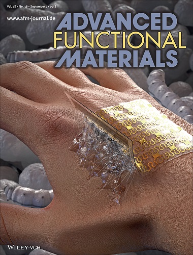 Figure 1. Cover page of Advanced Functional Materials