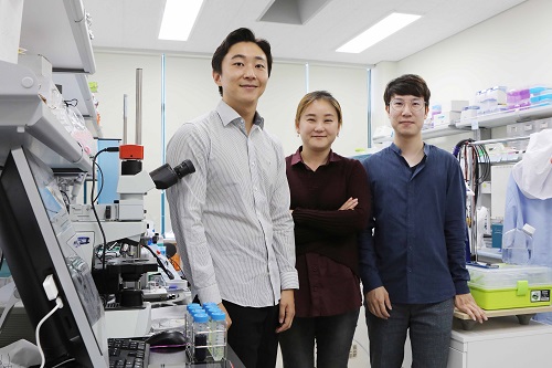 from left: Dr. Ji-Won Seo, Professor Hyunjoo Jenny Lee and PhD candidate, Hyojung Kim