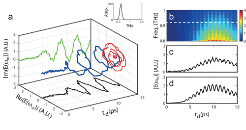 Figure 2. The complex amplitude of light at the converted frequency with the variation of a spatiotemporal boundary.