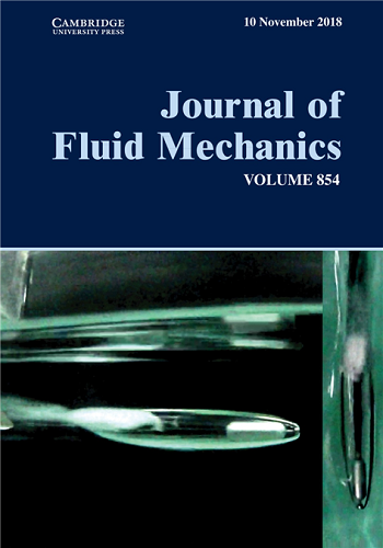Figure 1. The cover article of the Journal of Fluid Mechanics Vol. 854