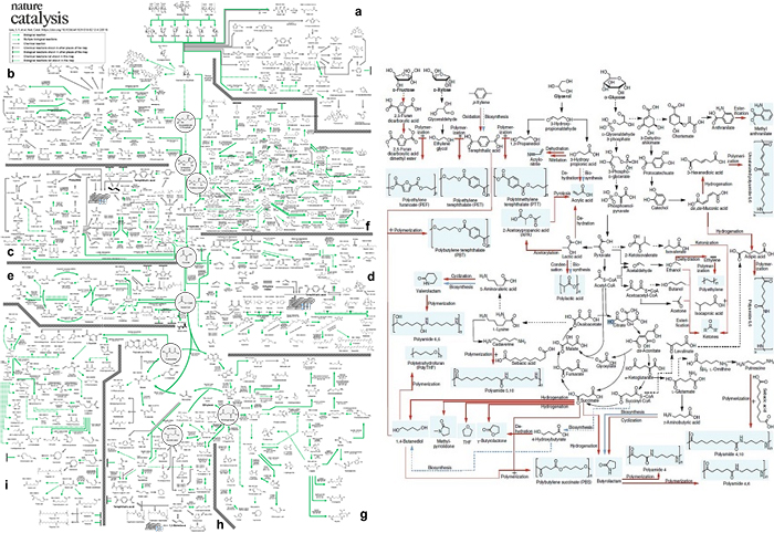 A Comprehensive Metabolic Map for Production of Bio-Based Chemicals 이미지2