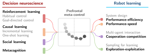 외부 환경에 따라 성능-효율-속도 문제 균형점을 찾는 뇌기반 강화학습 이론 (좌), 이를 최적 제어하는 ‘전두엽 메타 제어’(중) 및 로보틱스 분야 문제 해결 적용 사례 (우)