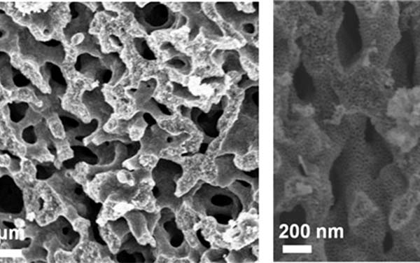 Figure 2. The hierarchical multiscale porous structure is still retained without any collapse after the conversion to h-TiN. The good retention of the porous structure is attributed to the thick pore wall of the h-TiO₂derived from the block copolymer self-assembly