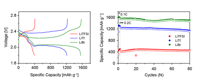 Figure 2. Capacity and cycle life characteristics of the LSBs