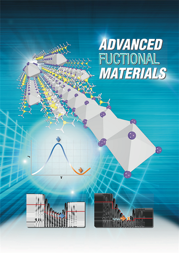 Figure. The draft version of the cover page of 'Advanced Functional Materials'