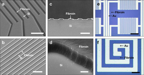 Figure 1. Fibroin microstructures and metal patterns on a fibroin produced by using the AMoS mask.