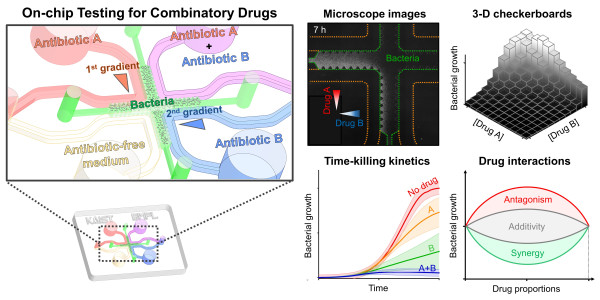 Figure 2. Examples of testing results using the microfluidic chips developed in this research.