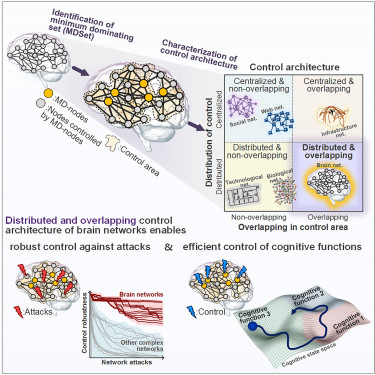 Figure 1. Schematic of identification of control architecture of brain networks.