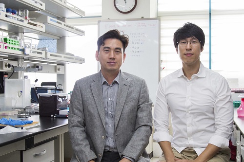 Researchers Describe a Mechanism Inducing Self-Killing of Cancer Cells 이미지1