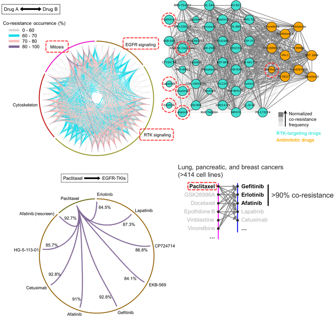  Figure 2. Big data analysis revealing co-resistance signatures between classes of anti-cancer drugs.