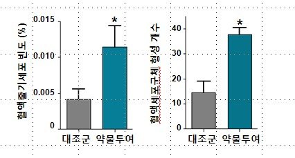 새로운 혈액줄기세포 공급원으로 지방조직 이용가능성 규명 이미지