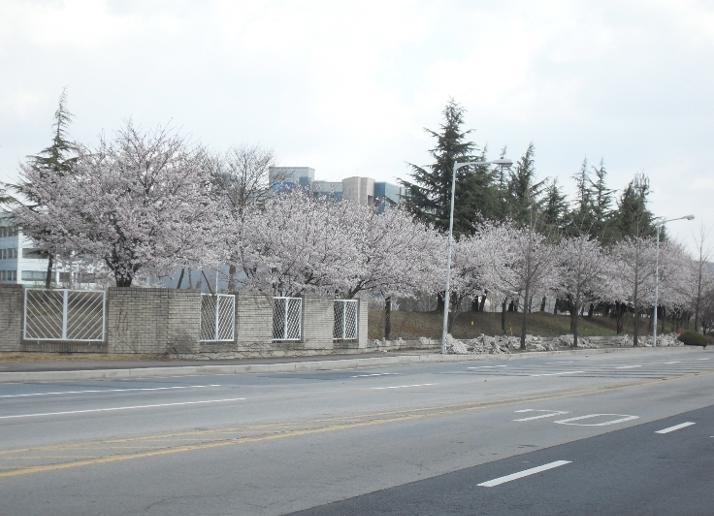 KAIST, 담장 허물고 녹색 대전 동참 이미지