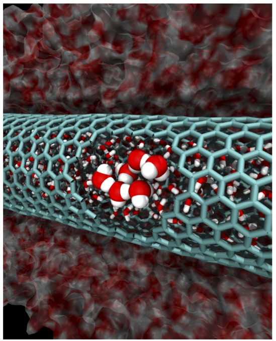 탄소나노튜브로 물이 스스로 빨려 들어가는 현상 원인 규명 이미지