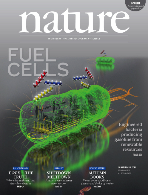 KAIST announced a novel technology to produce gasoline by a metabolically engineered microorganism 이미지