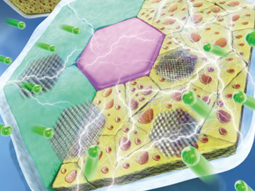 High-Performance Sodium Ion Batteries Using Copper Sulfide 이미지