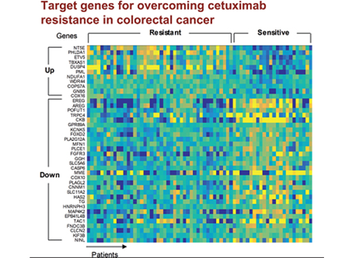 5 Biomarkers for Overcoming Colorectal Cancer Drug Resistance Identified 이미지