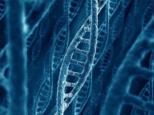 Micropatch Made of DNA 이미지