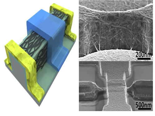 최양규 교수, 실리콘 반도체보다 5배 빠르고 저렴한 탄소나노튜브 반도체 개발 이미지