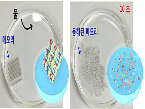 최양규 교수, 10초 내 물에 녹는 보안용 메모리 소자 개발 이미지