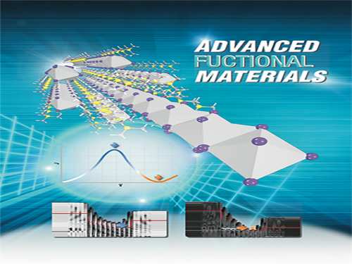 Novel Material Properties of Hybrid Perovskite Nanostructures for Next-generation Non-linear Electronic Devices 이미지