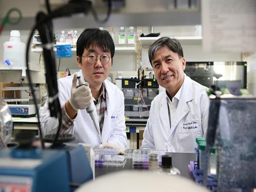 Technology to Find Optimum Drug Target for Cancer Developed 이미지